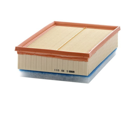 Air Filter C30011 Mann, Image 3