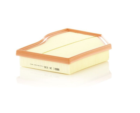 Air Filter C30030 Mann, Image 2