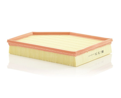 Air Filter C30196 Mann, Image 2