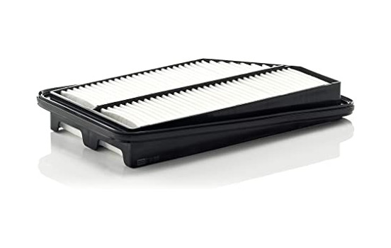 Air Filter C31005 Mann