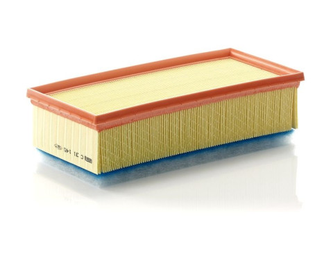 Air Filter C31145 Mann, Image 2