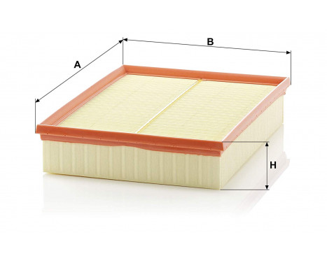 Air Filter C31196 Mann, Image 2