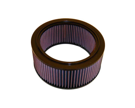 Air Filter E-1460 K&N