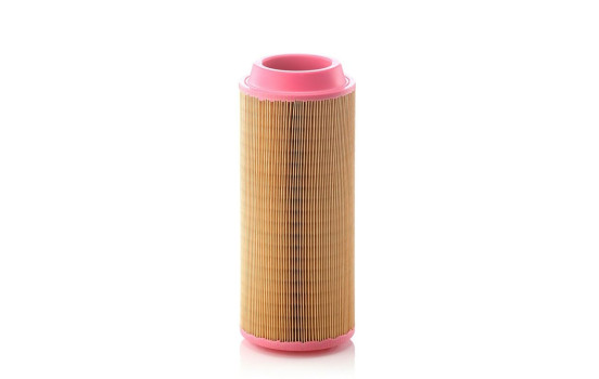 Air Filter EUROPICLON C 15 300 MANN-FILTER, Image 2