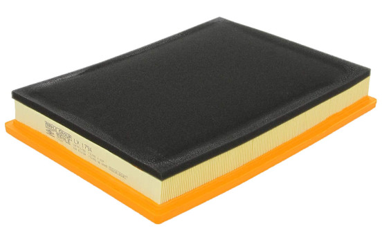 Air Filter LX 1794 Mahle, Image 2