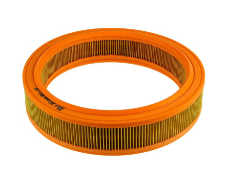 Air Filter LX 202 Mahle