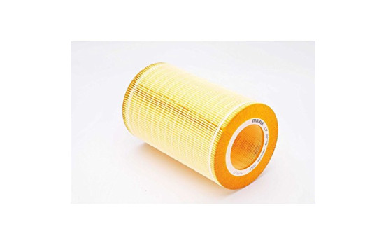 Air Filter LX 2079 Mahle