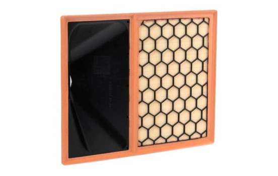 Air Filter LX 3603 Mahle