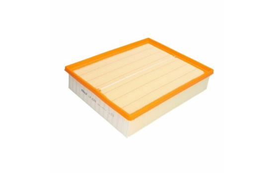 Air Filter LX 4244 Mahle