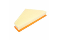 Air Filter LX 4253 Mahle