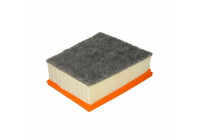 Air Filter LX 4297/1 Mahle