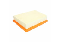 Air Filter LX 4335/1 Mahle