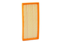 Air Filter LX 4397 Mahle