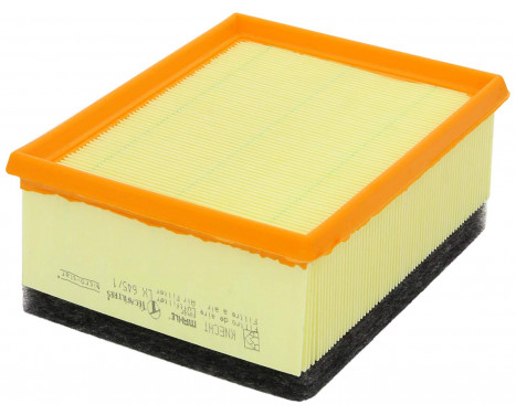 Air Filter LX 645/1 Mahle