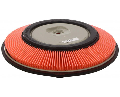 Air Filter LX 724 Mahle