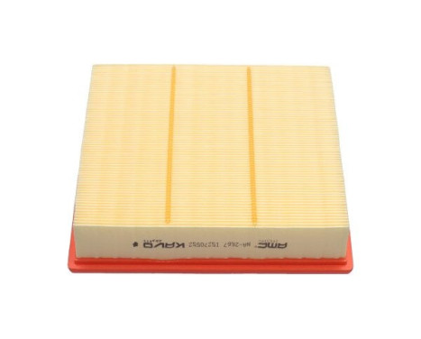 Air Filter NA-2667 AMC Filter