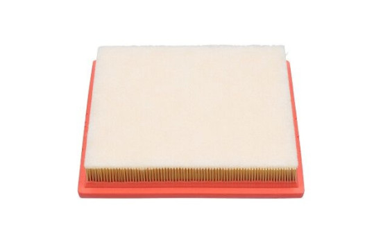 Air Filter TA-1292 AMC Filter, Image 5