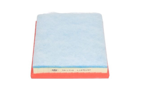 Air Filter TA-1712 AMC Filter