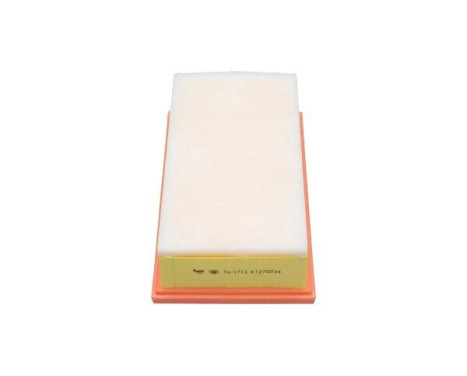 Air Filter TA-1713 Kavo parts