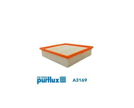 AIR FILTERS A3169 Purflux