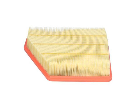 AMC Filter Air FAF-10017 Kavo parts, Image 4