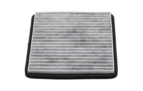 AMC Cabin filter Carbon DC-7112C Kavo parts