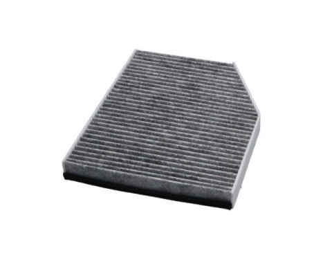 AMC Interior Filter Carbon FCA-10067C Kavo parts, Image 2