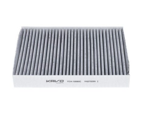 AMC Interior Filter Carbon FCA-10080C Kavo parts