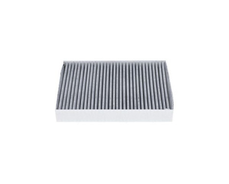 AMC Interior Filter Carbon FCA-10080C Kavo parts, Image 3