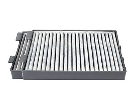 Cabin filter BSG 15-145-012