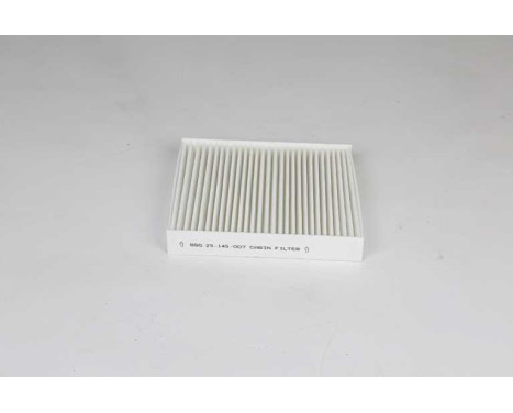 Cabin filter BSG 25-145-007