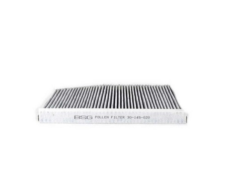 Cabin filter BSG 30-145-020