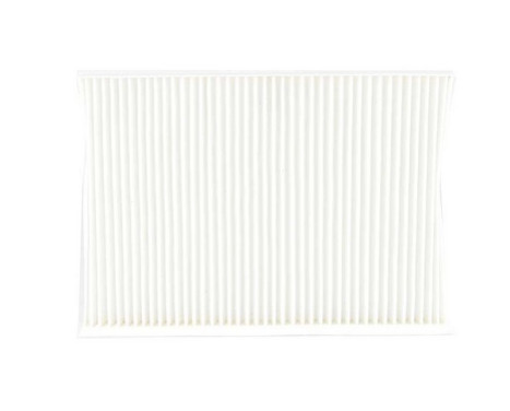 Cabin filter BSG 40-145-010