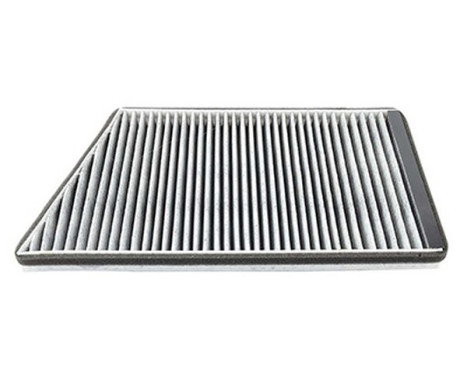 Cabin filter BSG 60-145-008