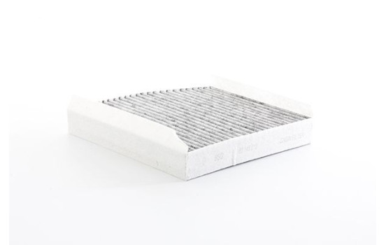 Cabin filter BSG 60-145-019