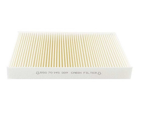 Cabin filter BSG 70-145-009