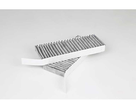 Cabin filter BSG 70-145-019