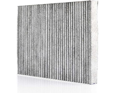 Cabin filter BSG 90-145-011