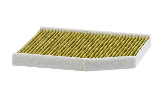 Cabin filter FP 29 007 MANN-FILTER