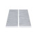 Carbon cabin filter FCA-10088C Kavo parts