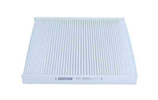 Filter, interior air 26-0245 Maxgear