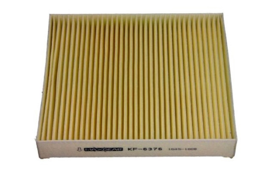 Filter, interior air 26-0724 Maxgear