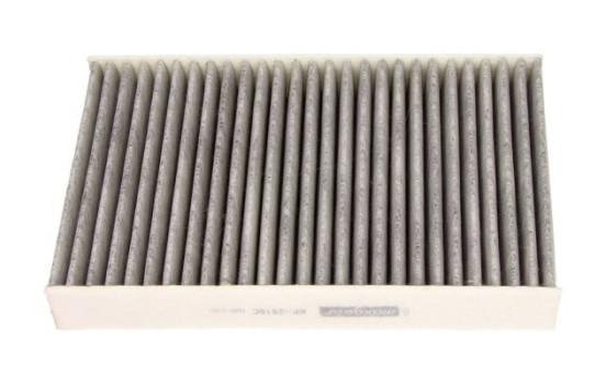 Filter, interior air 26-1021 Maxgear