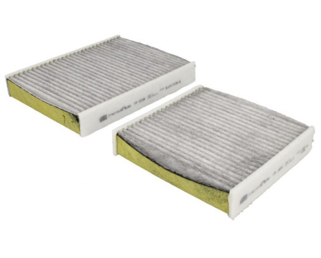 Filter, interior air Frecious Plus FP 21 000-2 Mann