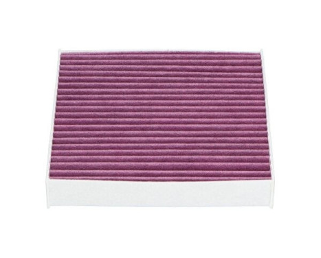 Filter, interior air HC-8115X AMC Filter