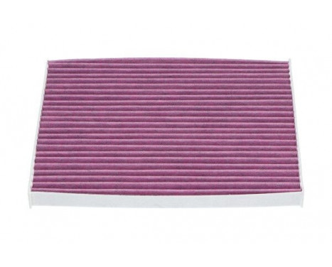 Filter, interior air HC-8216X AMC Filter