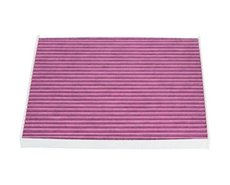 Filter, interior air HC-8227X AMC Filter