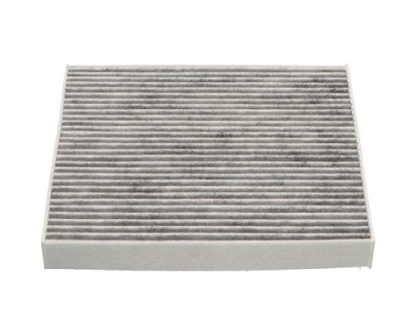 Filter, interior air HC-8244C AMC Filter