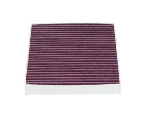 Filter, interior air MC-4017X AMC Filter