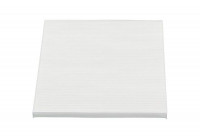 Filter, interior air NC-2045 AMC Filter